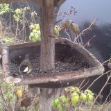 photo 2019-12-12 14-50-47