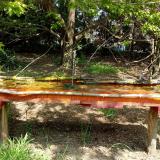 photo 2021-04-26 11-57-33