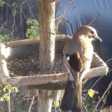 photo 2019-12-17 14-18-59