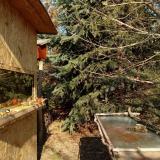 photo 2022-01-12 12-38-41