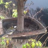 photo 2019-12-14 10-03-36