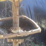 photo 2019-02-18 11-59-59