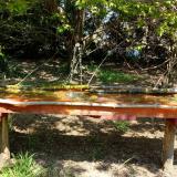 photo 2021-04-24 12-20-43