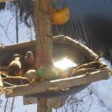 photo 2019-01-27 10-07-21