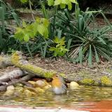 photo 2021-04-18 10-25-57 vorosbegy