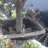 photo 2019-12-02 08-10-28