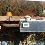 photo 2021-02-12 12-05-04