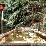 photo 2023-10-17 13-16-14