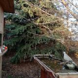 photo 2021-12-14 14-24-26