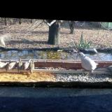 photo 2021-12-03 12-21-03