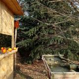 photo 2021-12-22 10-22-24