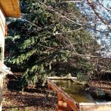 photo 2021-12-13 09-11-29