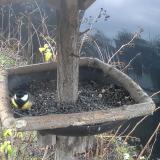 photo 2019-12-25 08-41-25