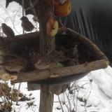 photo 2019-01-30 12-43-11