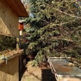 photo 2022-01-12 12-44-55