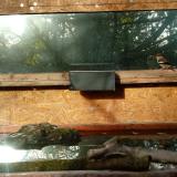 photo 2023-10-24 08-51-44