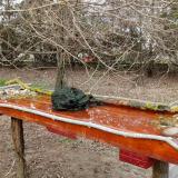 photo 2021-03-16 15-49-57