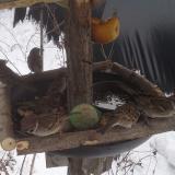 photo 2019-01-27 11-44-49