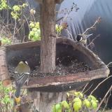 photo 2019-12-14 11-58-42