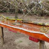 photo 2021-03-31 15-52-11