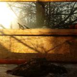 photo 2022-01-19 08-26-08