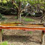 photo 2021-04-20 09-27-13