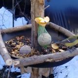 photo 2019-01-14 11-34-38