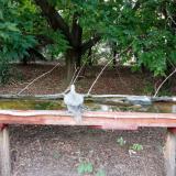 photo 2021-08-08 18-35-41