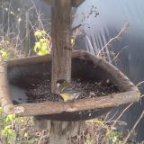 photo 2019-12-22 12-45-44