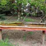 photo 2021-04-28 09-51-51