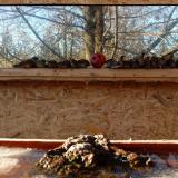 photo 2022-01-15 14-20-44