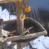 photo 2019-01-31 12-39-30