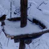 photo 2019-01-05 15-27-17