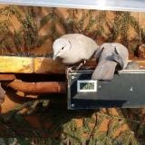 photo 2021-03-06 15-13-26