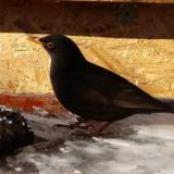 photo 2022-01-23 11-12-01 rigo