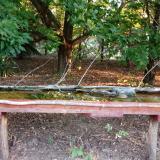 photo 2021-08-12 06-19-07