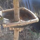 photo 2019-02-16 11-53-35