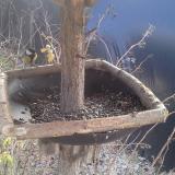 photo 2019-12-31 11-50-07