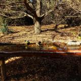 photo 2021-10-25 14-34-43