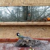 photo 2022-01-25 13-08-12