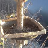 photo 2019-12-30 14-50-02