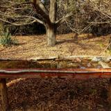 photo 2021-10-26 14-31-53