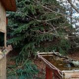 photo 2021-11-18 11-40-08