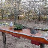 photo 2021-03-23 06-29-13