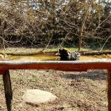 photo 2021-03-11 09-26-13