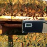 photo 2021-02-22 16-01-32