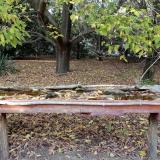 photo 2021-10-13 16-32-48