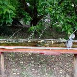 photo 2021-05-22 10-34-57