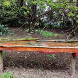 photo 2021-04-19 08-56-57