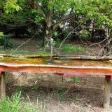 photo 2021-04-29 12-02-58